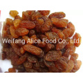 Bulk Packaging Factory Supply Dried Red Raisin Dried Sultana